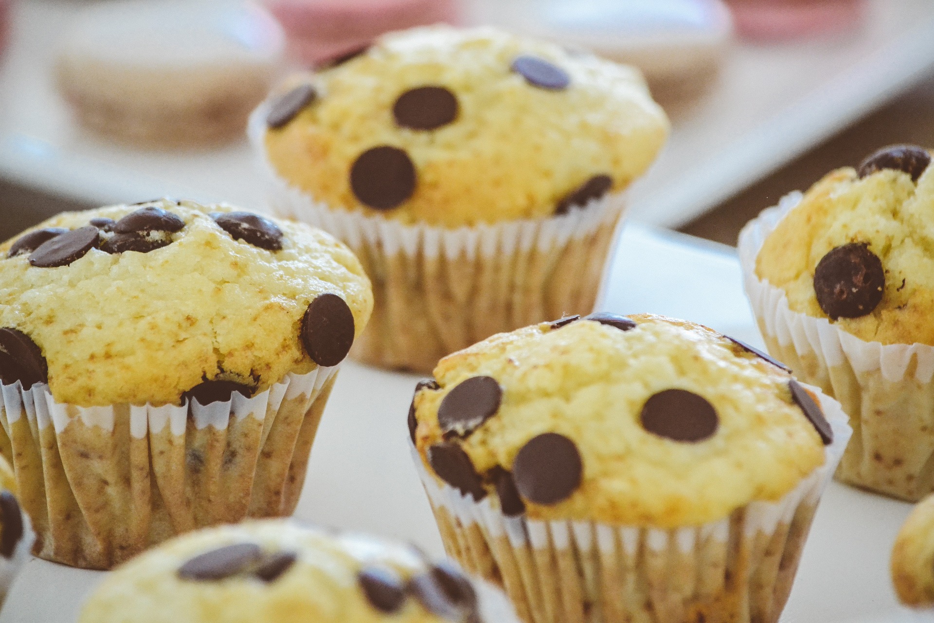 Chocolate Chip Muffins on a table